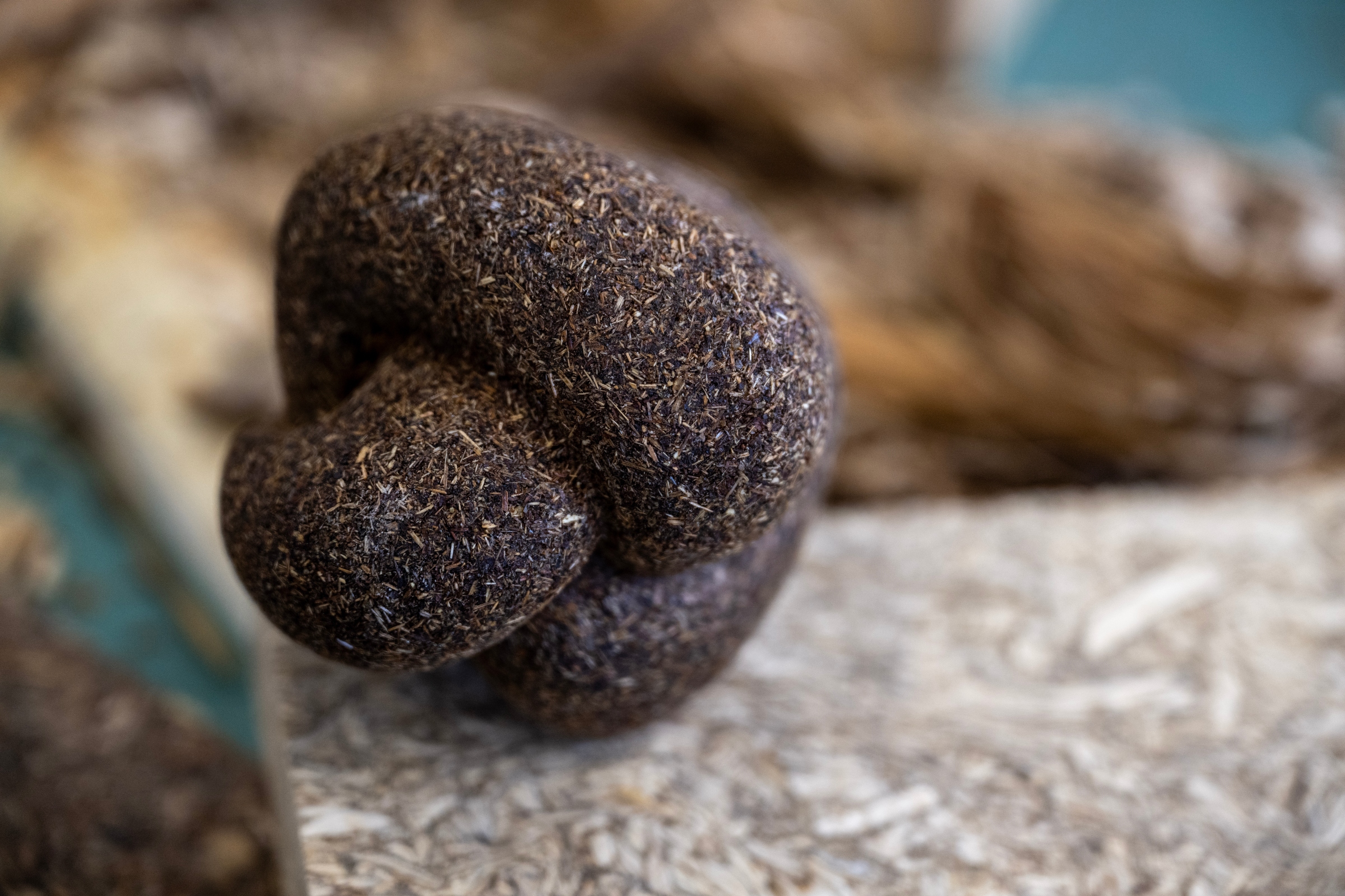 Bestuur Krimppp 2024